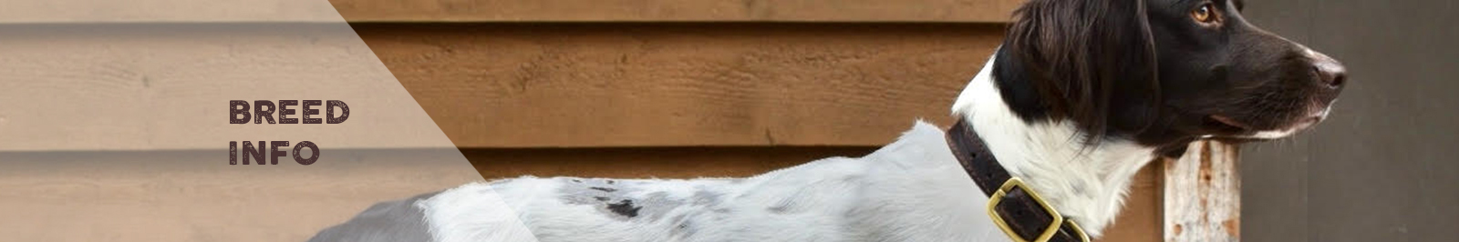 SMCNA Breeder Information